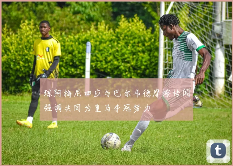 琼阿梅尼回应与巴尔韦德摩擦传闻强调共同为皇马夺冠努力